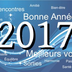 Bonne année 2017