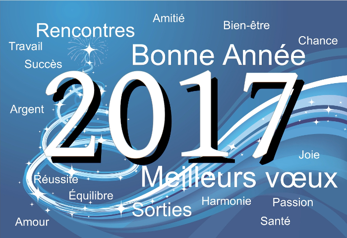 Bonne année 2017