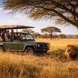 Découvrez les safaris en Tanzanie