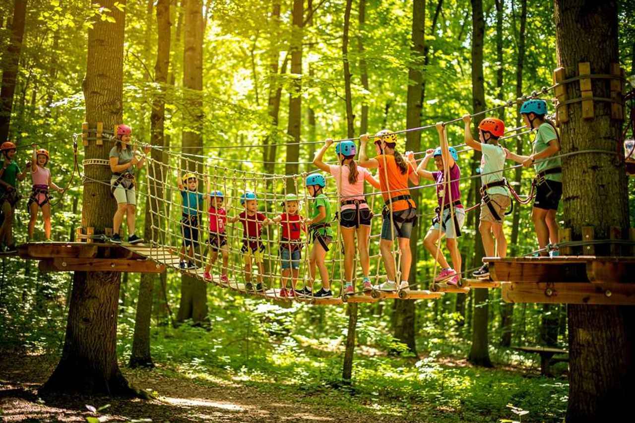 Guide des sites de loisir en plein air : L'accrobranche